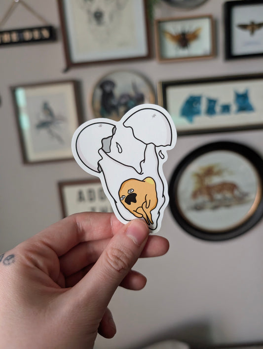 Egg sticker