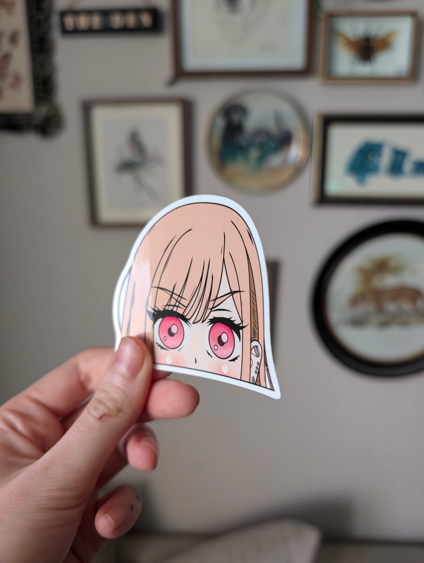 Marin sticker