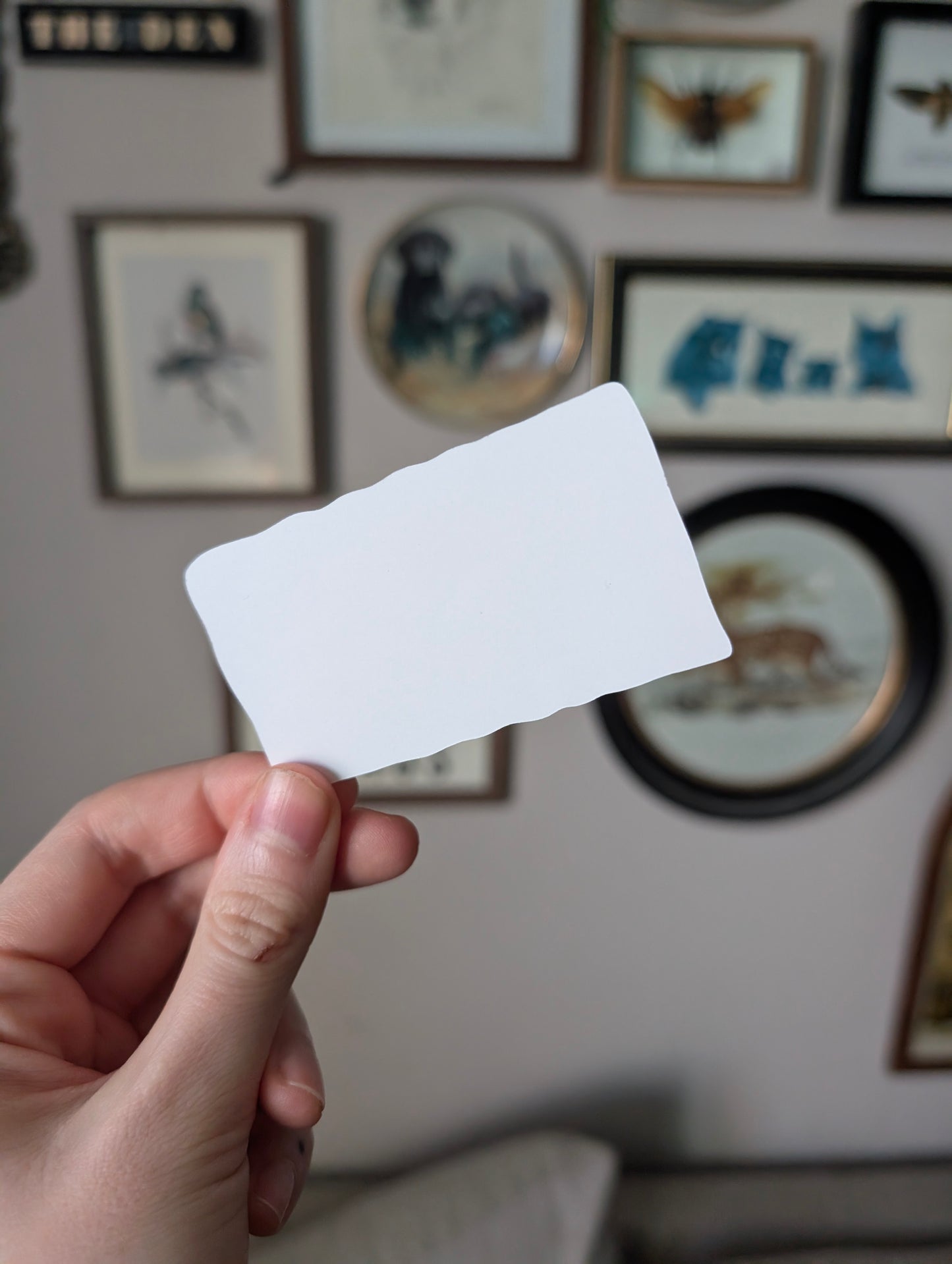 I like money sticker